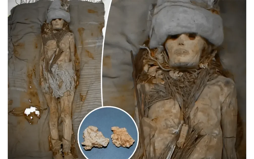 dna-from-the-worlds-oldest-cheese-extracted-from-mummies-groundbreaking-discovery