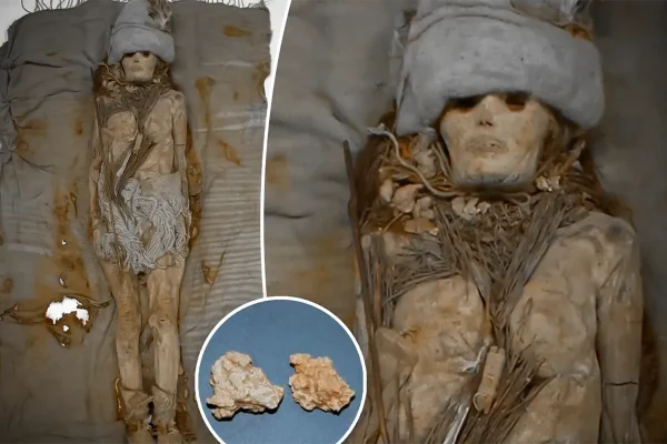 dna-from-the-worlds-oldest-cheese-extracted-from-mummies-groundbreaking-discovery