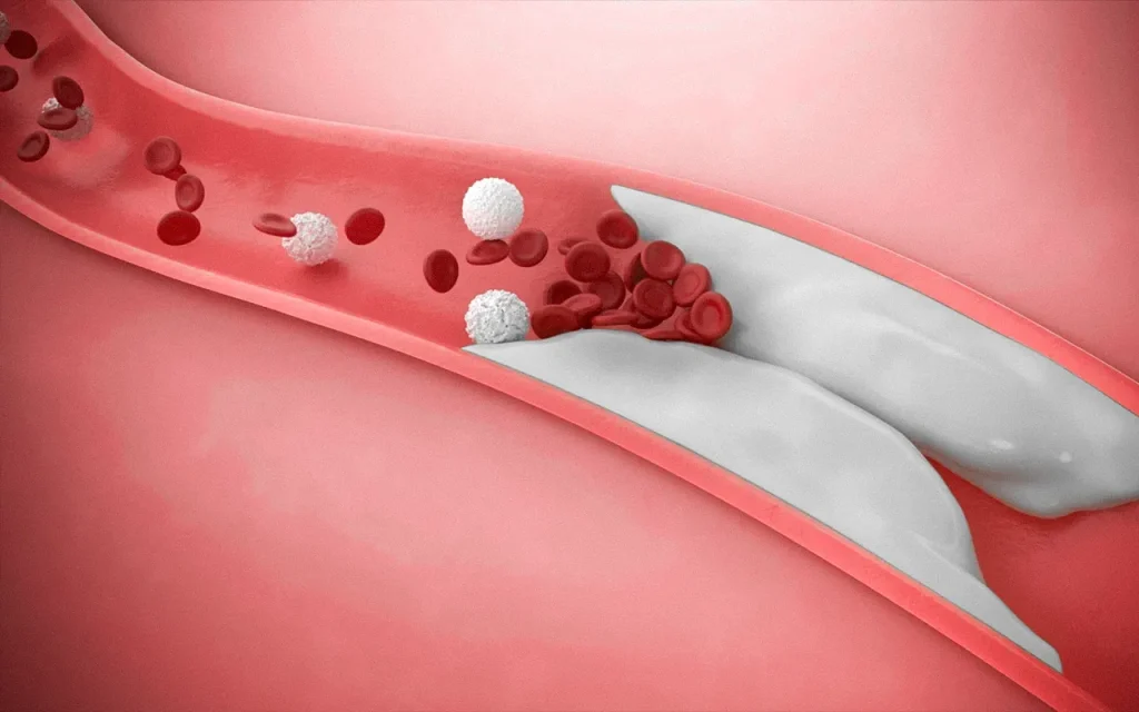 exploring-important-discoveries-about-cholesterol-in-cell-membranes