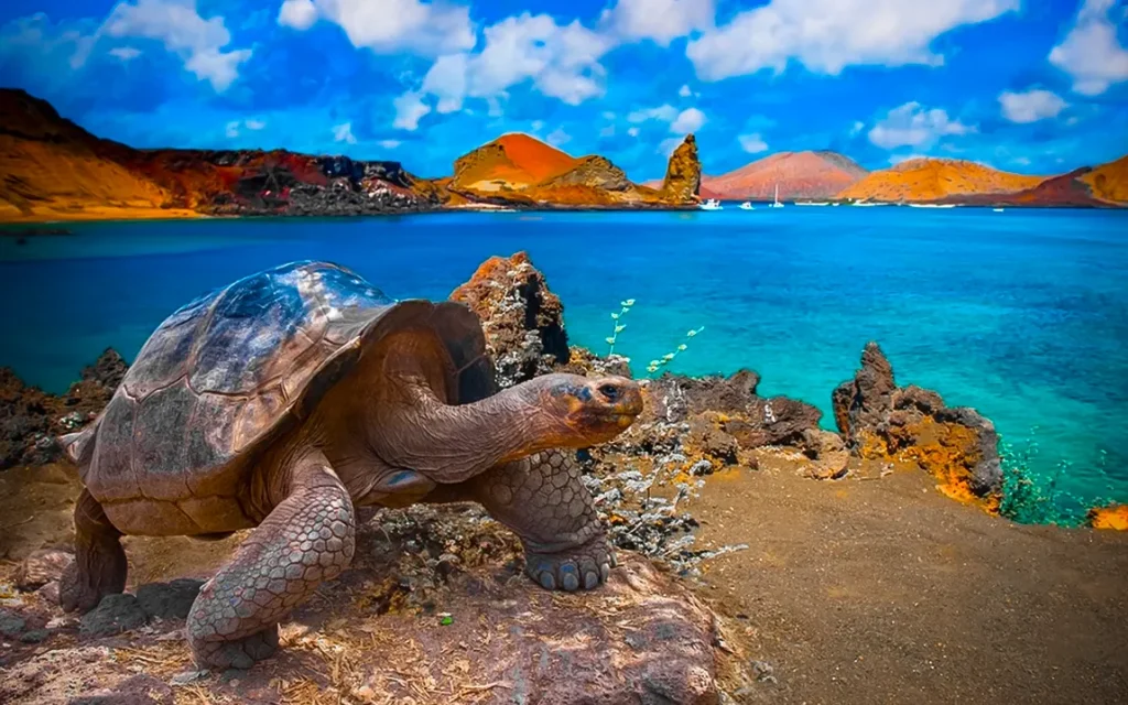 a-journey-into-the-wild-what-awaits-you-in-the-galapagos-islands