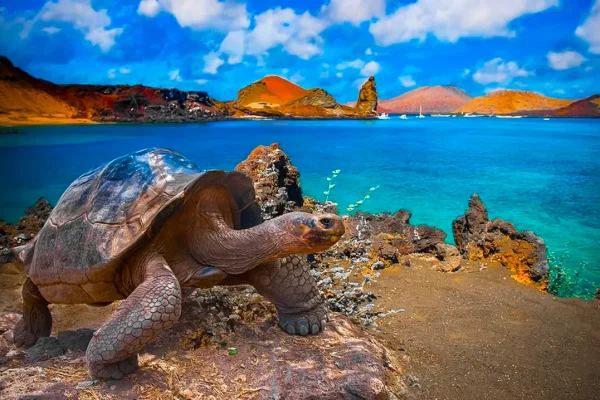 a-journey-into-the-wild-what-awaits-you-in-the-galapagos-islands