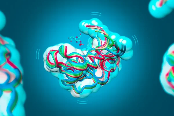 elucidation-of-a-decades-old-protein-sorting-mystery