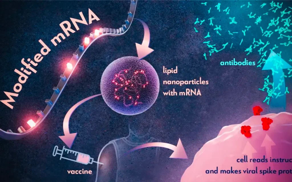 mrna-vaccines-new-technique-promises-faster-development-for-disease-outbreaks