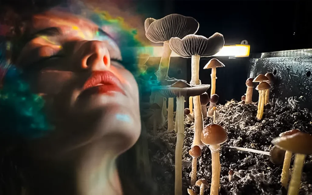 psilocybin-a-game-changer-or-gamble-in-the-battle-against-depression