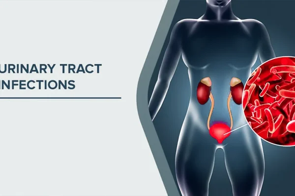 understanding-the-disparity-why-urinary-tract-infections-are-common-while-kidney-infections-remain-rare