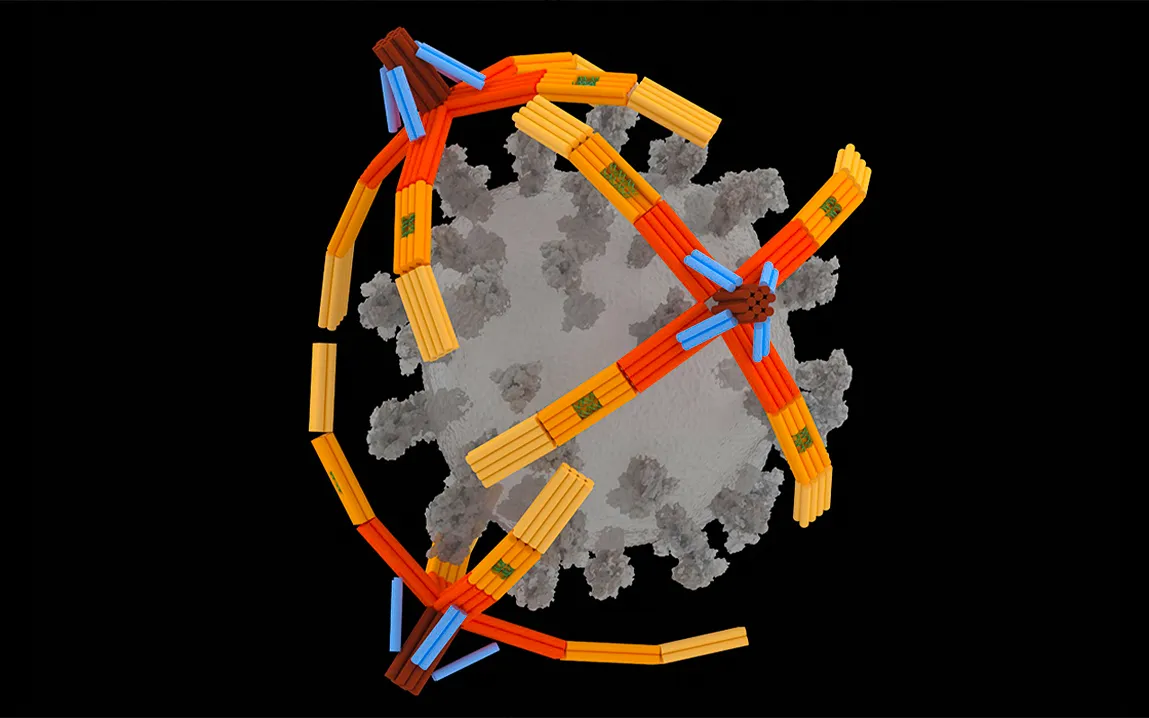 dna-nanorobot-a-breakthrough-in-virus-diagnostics-and-cell-entry-blocking