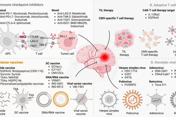 innovative-drug-combination-strategy-enhances-immunotherapy-for-glioblastoma