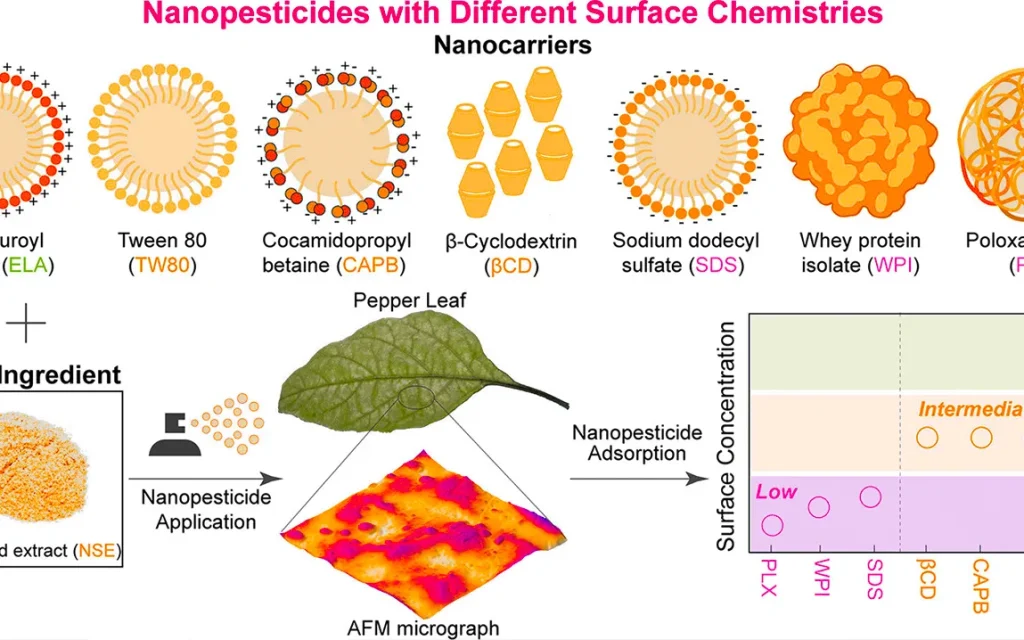 the-role-of-neem-seed-extract-in-enhancing-pesticide-effectiveness-through-nanotechnology