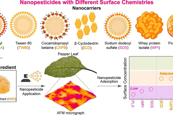 the-role-of-neem-seed-extract-in-enhancing-pesticide-effectiveness-through-nanotechnology