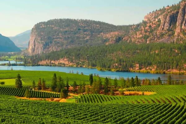 why-british-columbias-okanagan-valley-should-be-your-next-wine-and-adventure-getaway