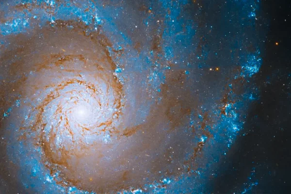 astronomers-discover-ultra-massive-grand-design-spiral-galaxy-in-early-universe