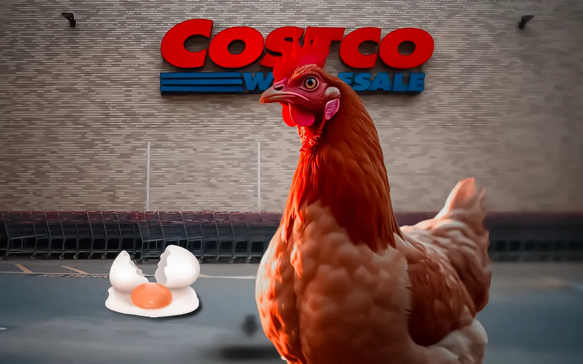 egg-recall-at-costco-over-10000-cartons-of-kirkland-signature-eggs-due-to-salmonella-risk