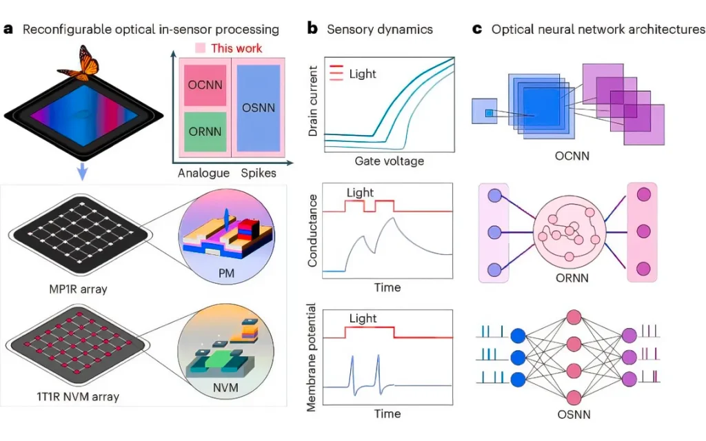 engineers-create-revolutionary-device-that-integrates-sensing-and-computing-for-reconfigurable-computing-platforms