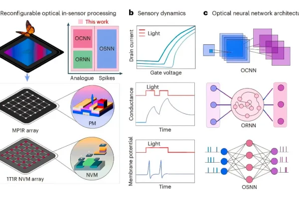 engineers-create-revolutionary-device-that-integrates-sensing-and-computing-for-reconfigurable-computing-platforms