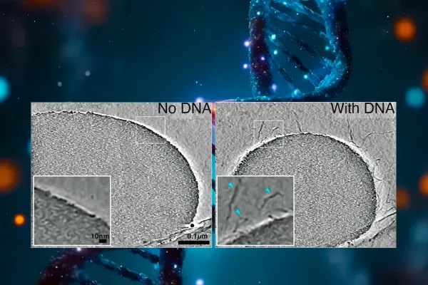 groundbreaking-findings-scientists-identify-goldilocks-zone-for-dna-organization-opening-new-avenues-for-the-development-of-new-drugs