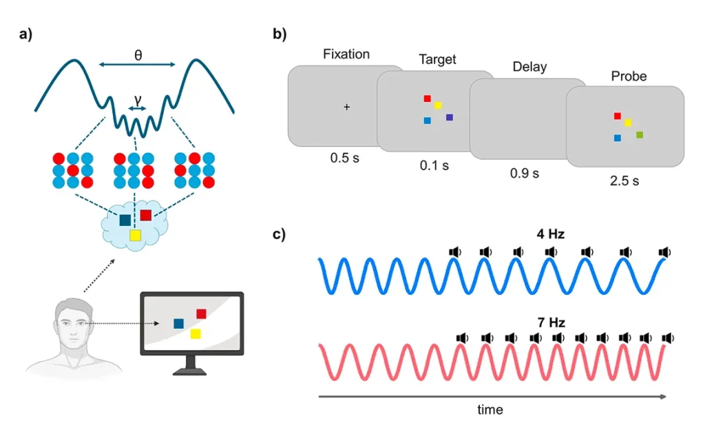 sensory-stimulation-boosts-visual-working-memory-capacity-a-new-insight-into-cognitive-enhancement