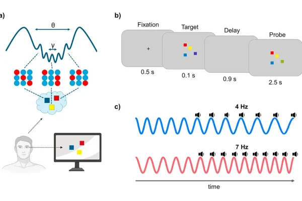 sensory-stimulation-boosts-visual-working-memory-capacity-a-new-insight-into-cognitive-enhancement