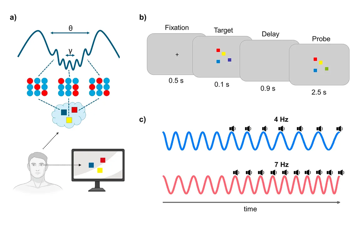 sensory-stimulation-boosts-visual-working-memory-capacity-a-new-insight-into-cognitive-enhancement