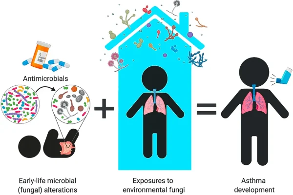 the-hidden-kingdom-of-fungi-in-allergic-rhinitis-and-asthma-a-new-dimension-how-nasal-microbes-influence-health