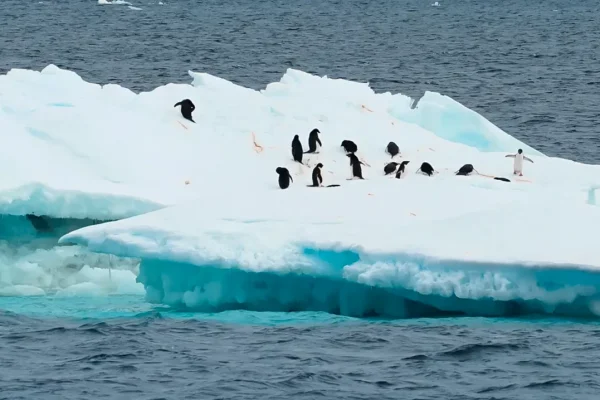 unique-microbial-communities-discovered-beneath-the-frozen-surface-of-antarcticas-lake-enigma