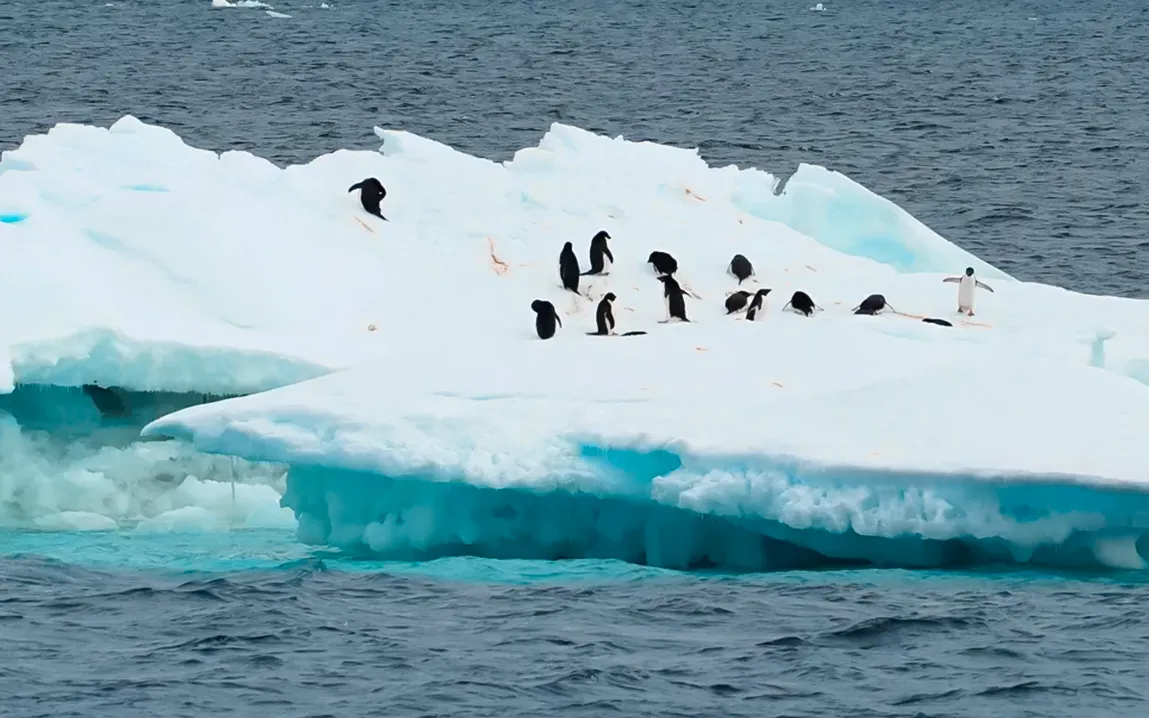 unique-microbial-communities-discovered-beneath-the-frozen-surface-of-antarcticas-lake-enigma