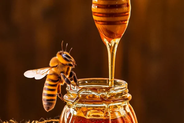 aphrodisiac-honey-craze-french-customs-warn-of-hidden-dangers-behind-the-buzz