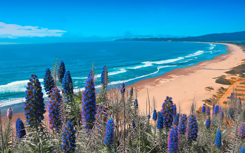 beach-guardians-how-hidden-microbes-protect-coastal-waters-in-a-changing-climate