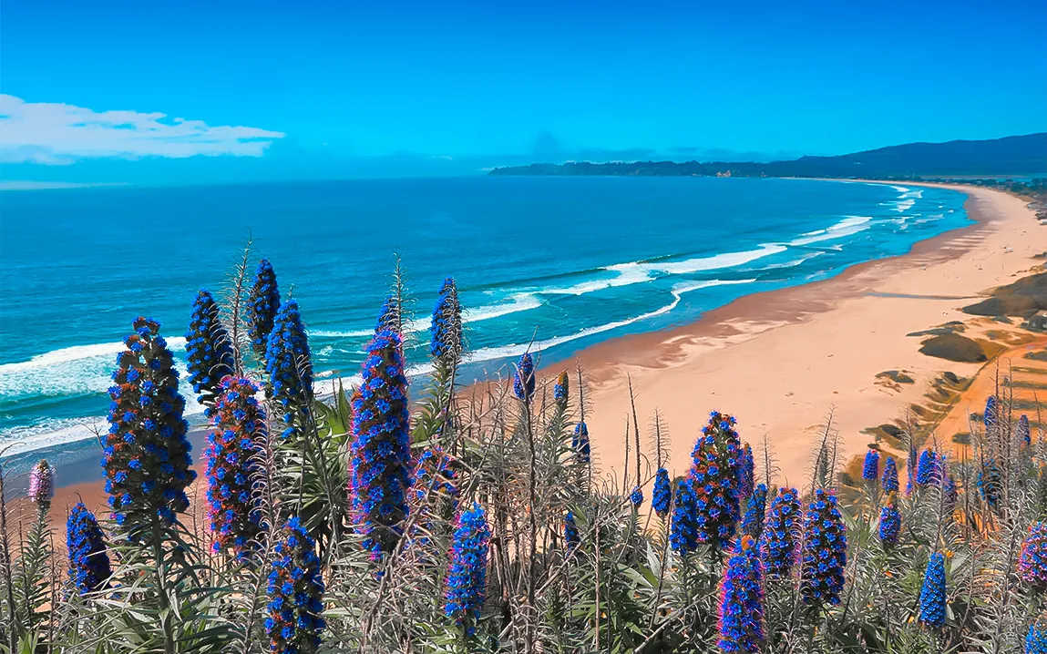 beach-guardians-how-hidden-microbes-protect-coastal-waters-in-a-changing-climate