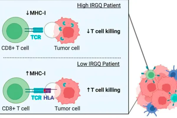 cancer-cells-disrupt-immune-defense-mechanisms-new-insights