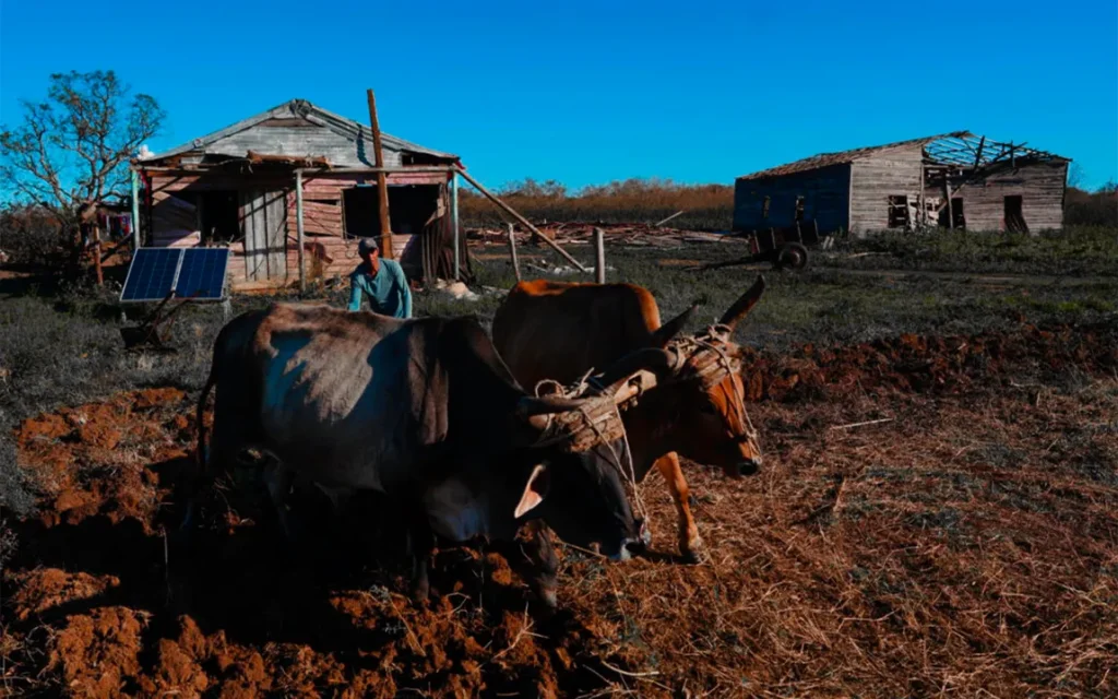 cubas-resilient-spirit-life-amid-hardship-in-a-paused-land