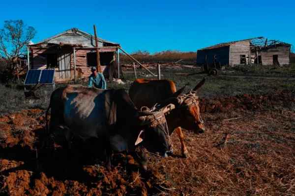 cubas-resilient-spirit-life-amid-hardship-in-a-paused-land