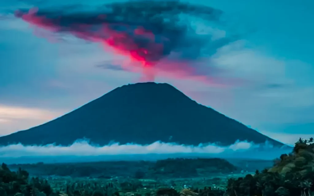 decoding-natures-secrets-blue-rings-in-trees-reveal-clues-about-past-volcanic-eruptions