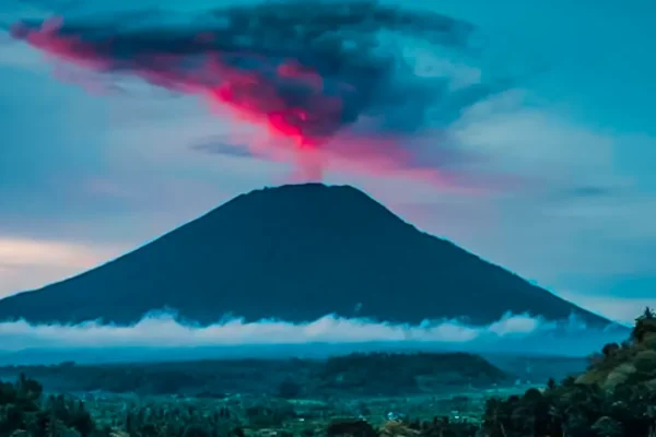 decoding-natures-secrets-blue-rings-in-trees-reveal-clues-about-past-volcanic-eruptions