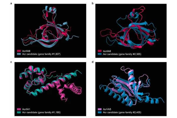 foreign-dna-sneaks-past-bacterial-defenses-to-aid-in-antibiotic-resistance-crisis-continues-growing