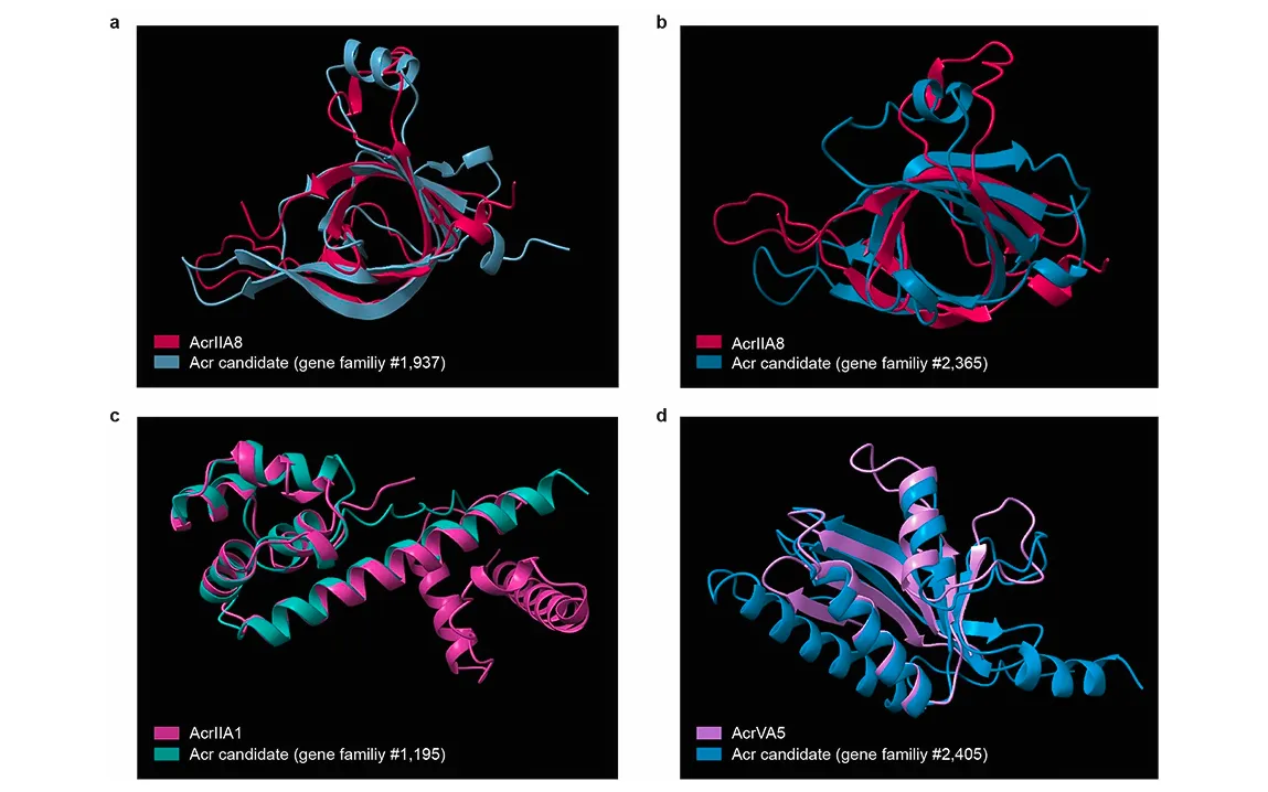 foreign-dna-sneaks-past-bacterial-defenses-to-aid-in-antibiotic-resistance-crisis-continues-growing