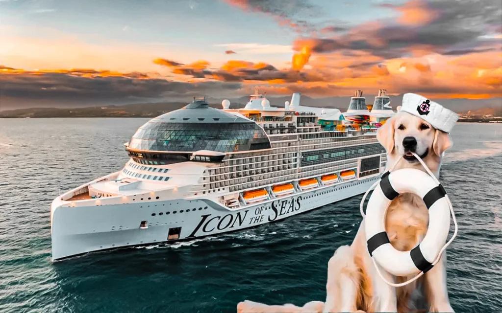 meet-rover-the-golden-retriever-spreading-joy-on-the-worlds-largest-cruise-ship