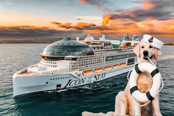 meet-rover-the-golden-retriever-spreading-joy-on-the-worlds-largest-cruise-ship