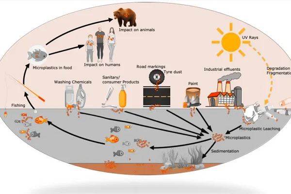 microplastics-in-several-human-organ-tissues-linked-to-lesions-an-emerging-threat-to-human-health