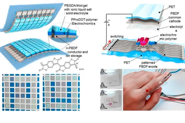 paving-the-way-to-advanced-all-polymer-electrochromic-displays-with-record-n-doped-transparent-conductor