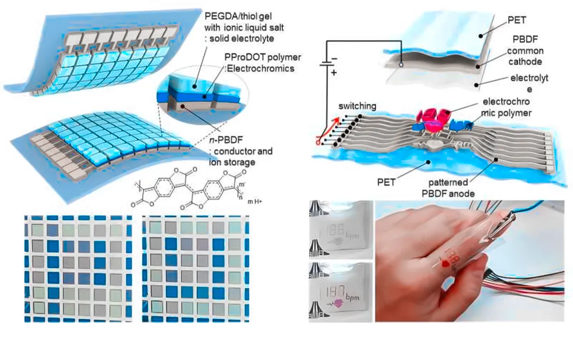 paving-the-way-to-advanced-all-polymer-electrochromic-displays-with-record-n-doped-transparent-conductor