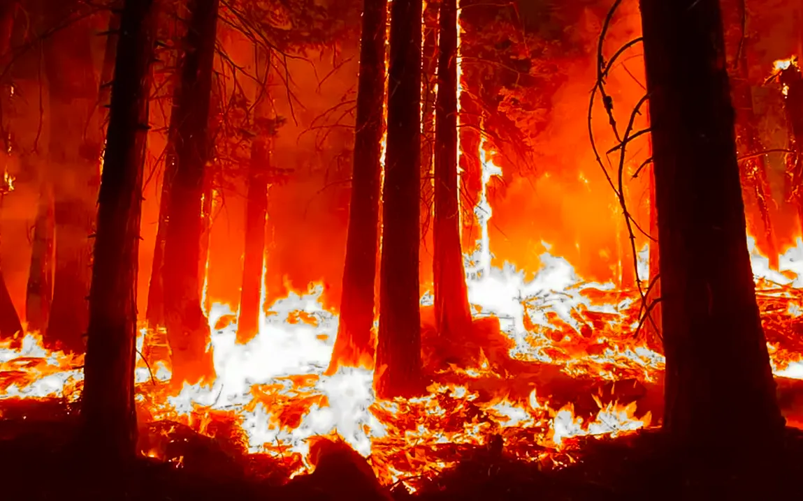 the-lingering-shadows-of-wildfires-how-flames-leave-emotional-scars