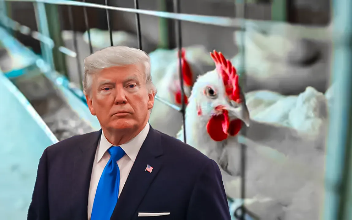 trump-administration-halts-key-bird-flu-reports-raising-concerns-over-public-health-transparency