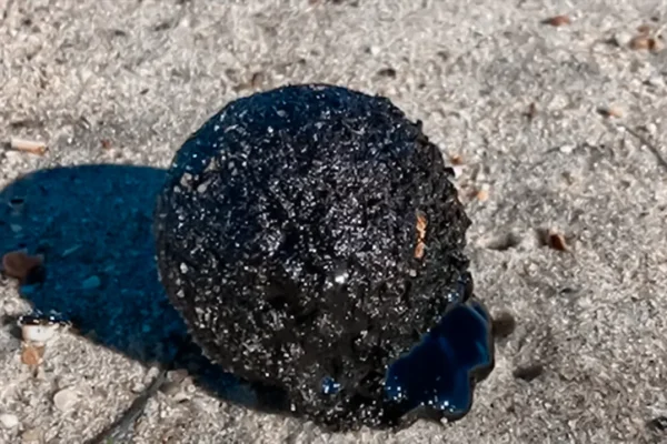 mysterious-tar-balls-wash-up-on-florida-beaches-coast-guard-investigates