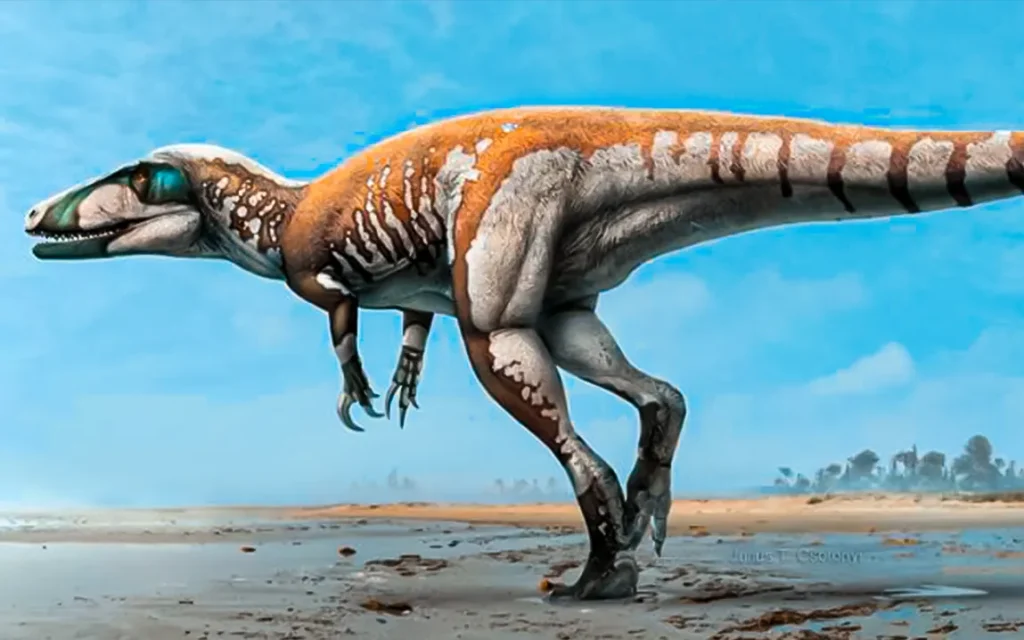 uncovering-australias-ancient-hunter-theropod-giant-claws