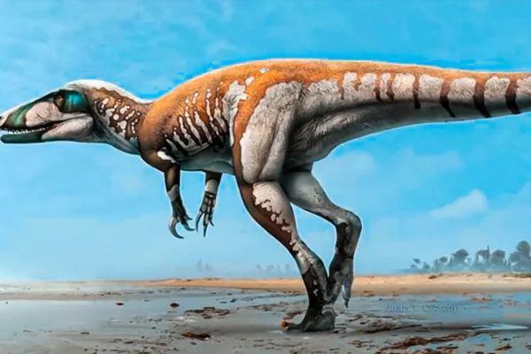 uncovering-australias-ancient-hunter-theropod-giant-claws