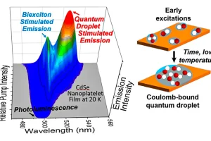 2D-Semiconductors