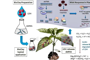 Revolutionizing Crop Protection