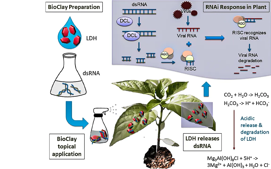 Revolutionizing Crop Protection