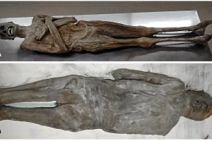 Austrian Mummy Preserved by Rare Embalming Method