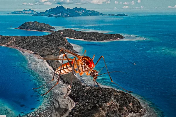 Dengue Fever Outbreak in Fiji Puts Tourists on Alert